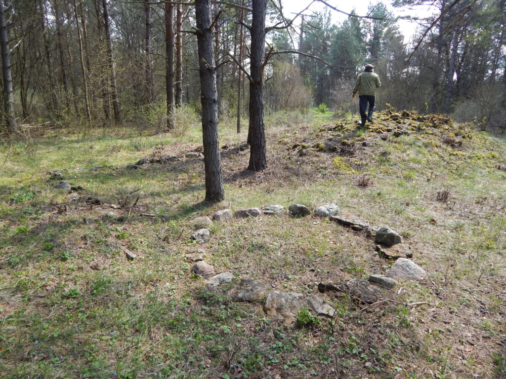 Viking Age circular stone
graves at Piila, Saaremaa.