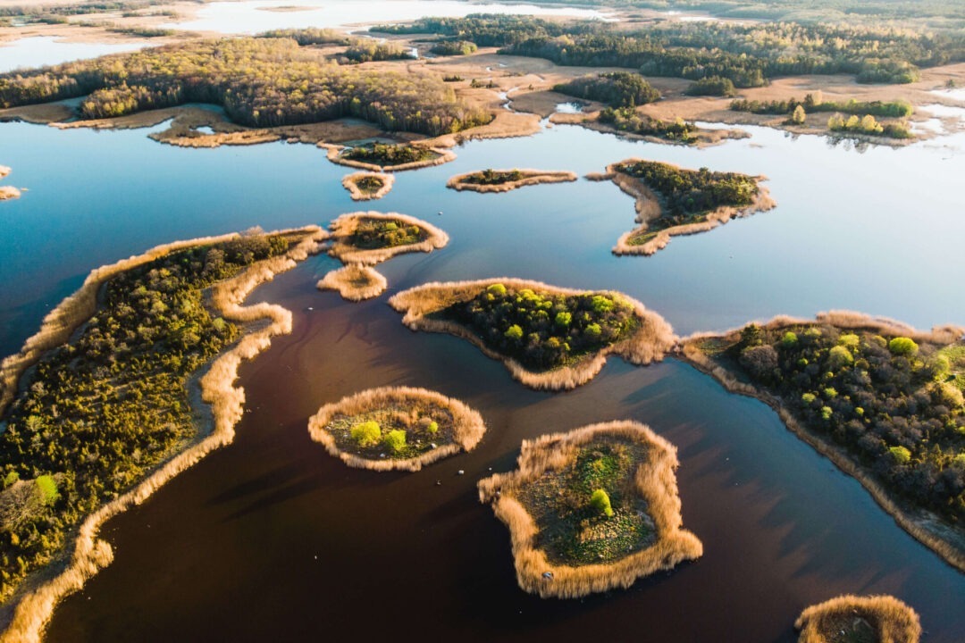 Visit Saaremaa - Laidevahe looduskaitseala - loodusfoto