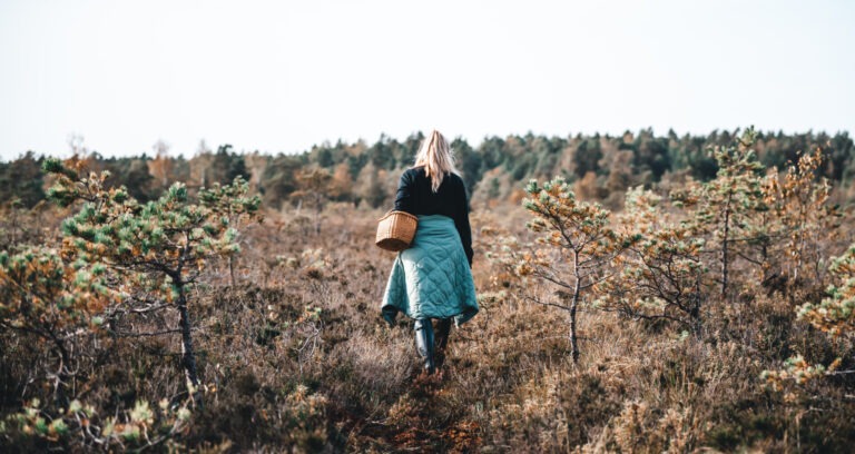 Visit Saaremaa - Raba matk - loodusfoto