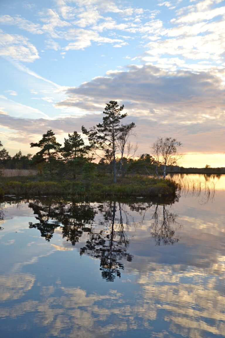 Visit Saaremaa - Koigi raba - loodusfoto