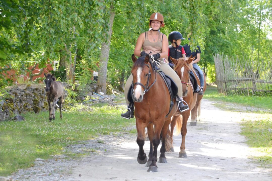 Visit Saaremaa - Tihuse ratsatalu