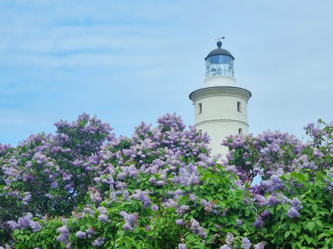 Visit Saaremaa - Vilsandi tuletorn sirelite taustal - arhitektuurifoto