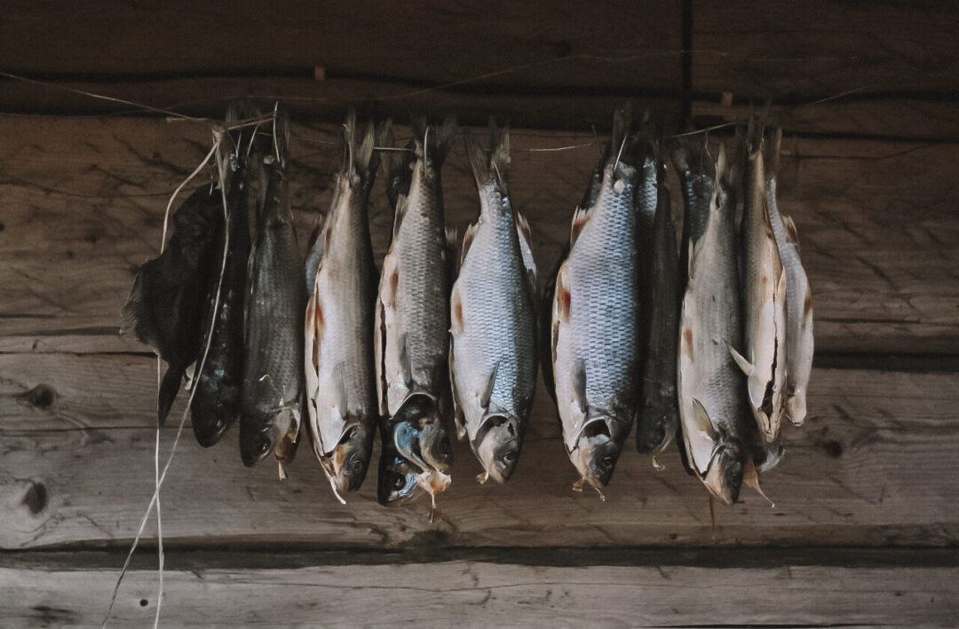 Visit Saaremaa - Kuivatatud kalad räästa all - meeleolufoto