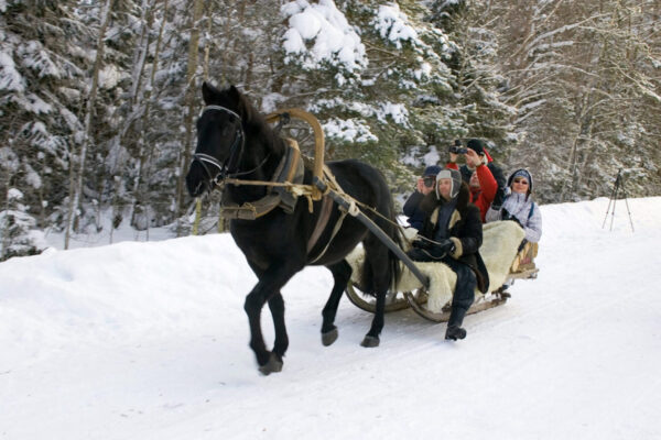 Visit Saaremaa - Saanisõit hobusega talvel - meeleolufoto