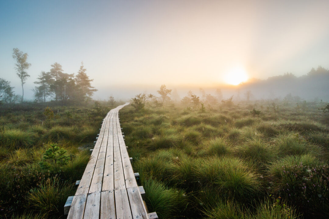 Visit Saaremaa - Kogi raba - Maastikufoto