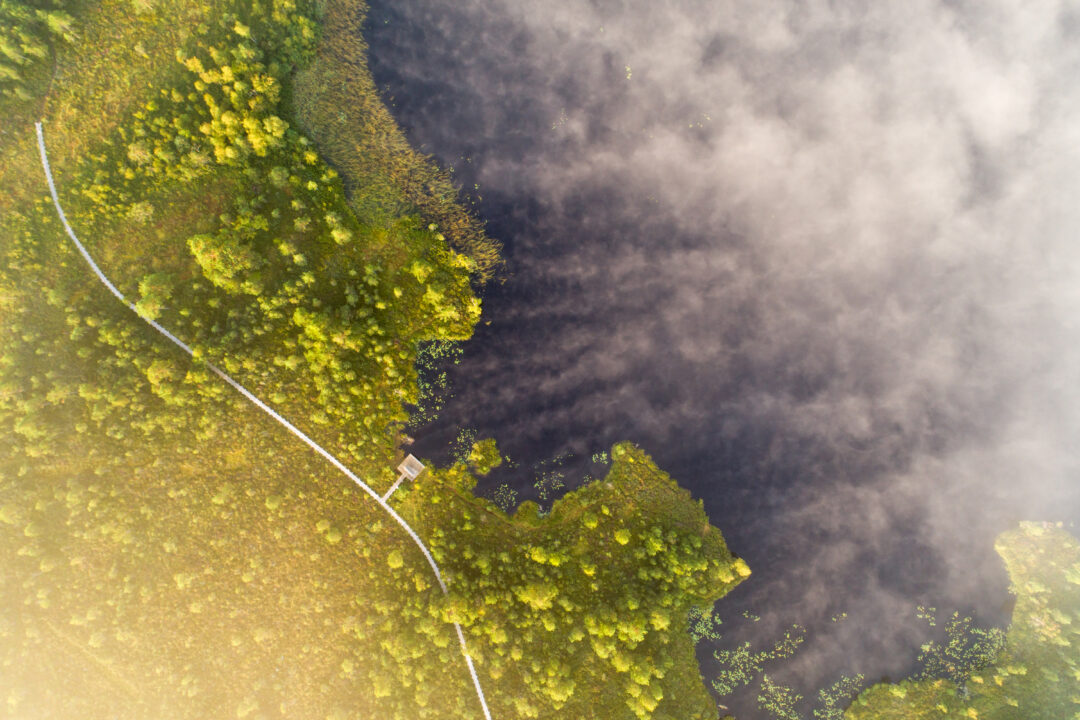 Visit Saaremaa - Koigi raba - Saaremaa loodusfoto